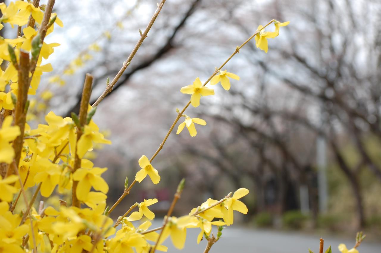 ホテル Kunihiro Yashiki 那須町 エクステリア 写真